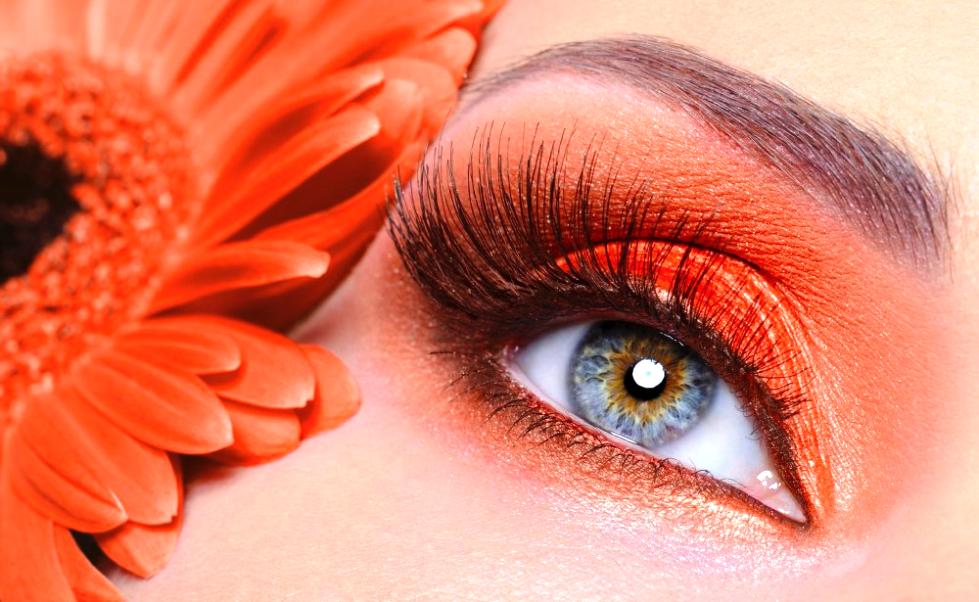 Wimpern Einsetzen Wimpern Einsetzen